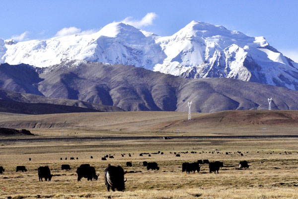 Nyainqentanglha Mountains, Snowy Spine of Tibet