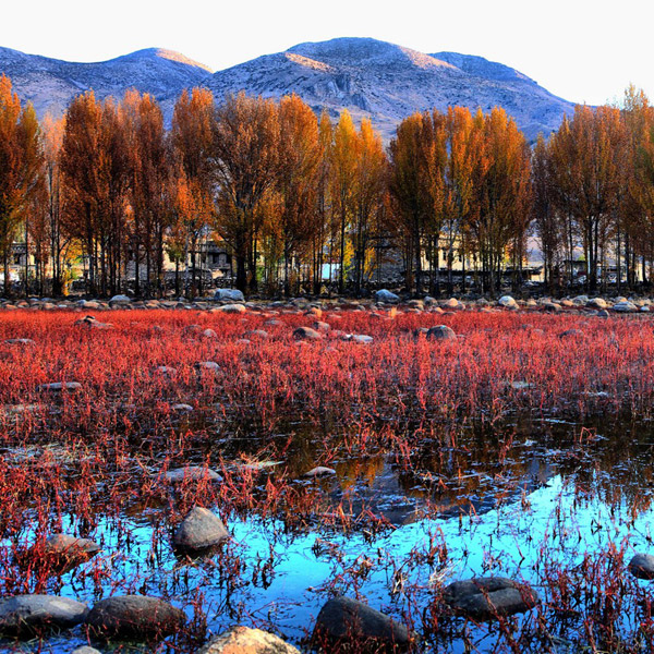 Picturesque scenery of Daocheng