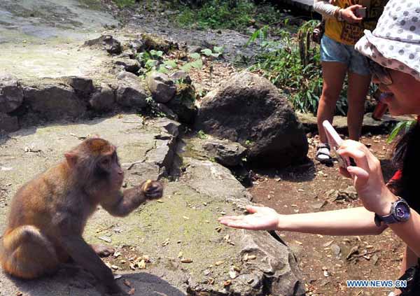 Sight-seeing resort in Xiling Gorge becomes popular tourist site