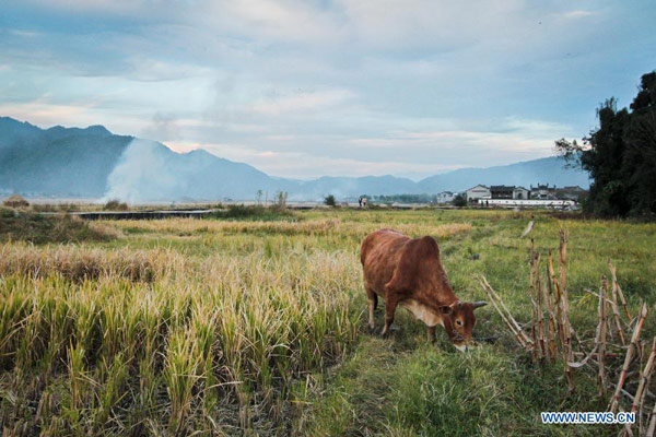 Scenery of ancient townlet Heshun in SW China