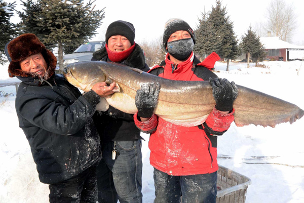 Winter fishing festival marked in NE China