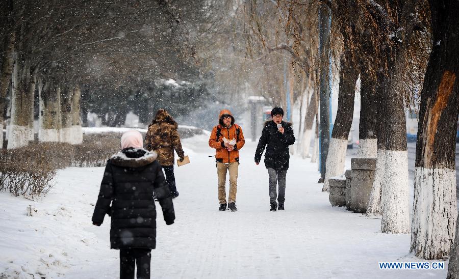 Snowfall hits China's north