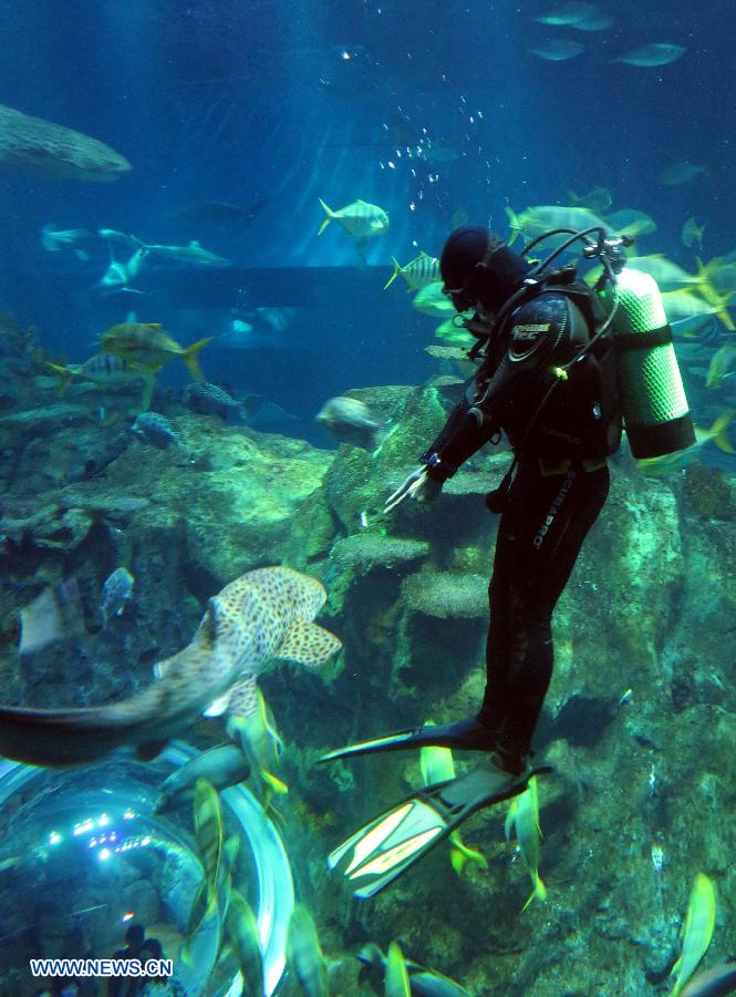 Visitors get into close touch with fish in HK Ocean Park