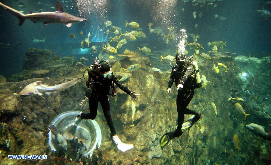 Visitors get into close touch with fish in HK Ocean Park