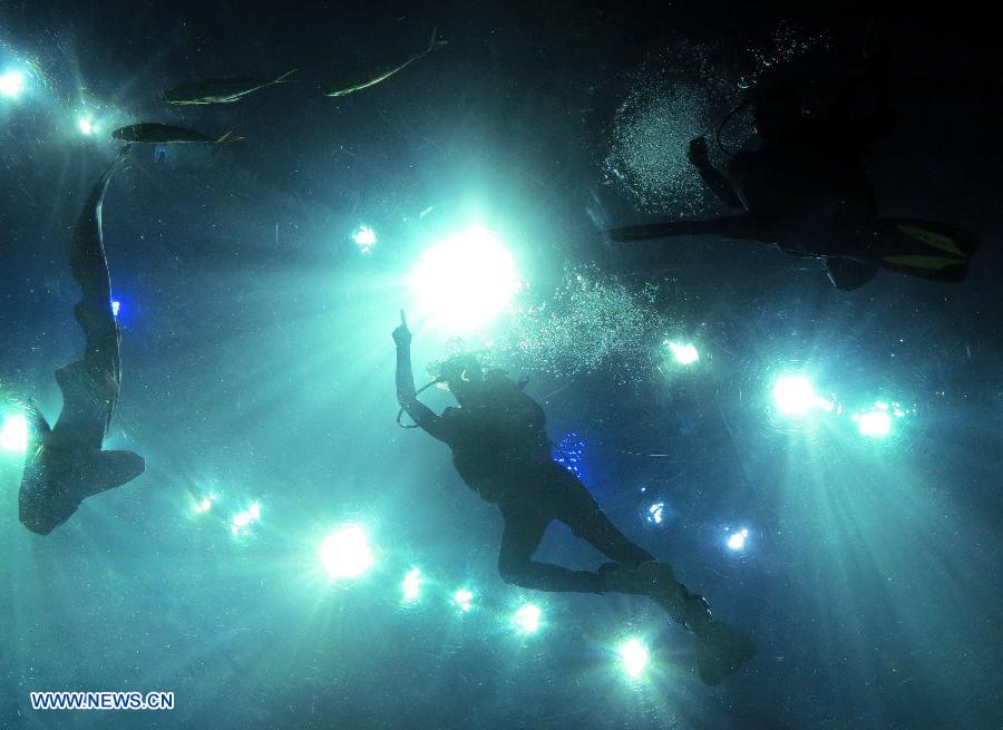 Visitors get into close touch with fish in HK Ocean Park