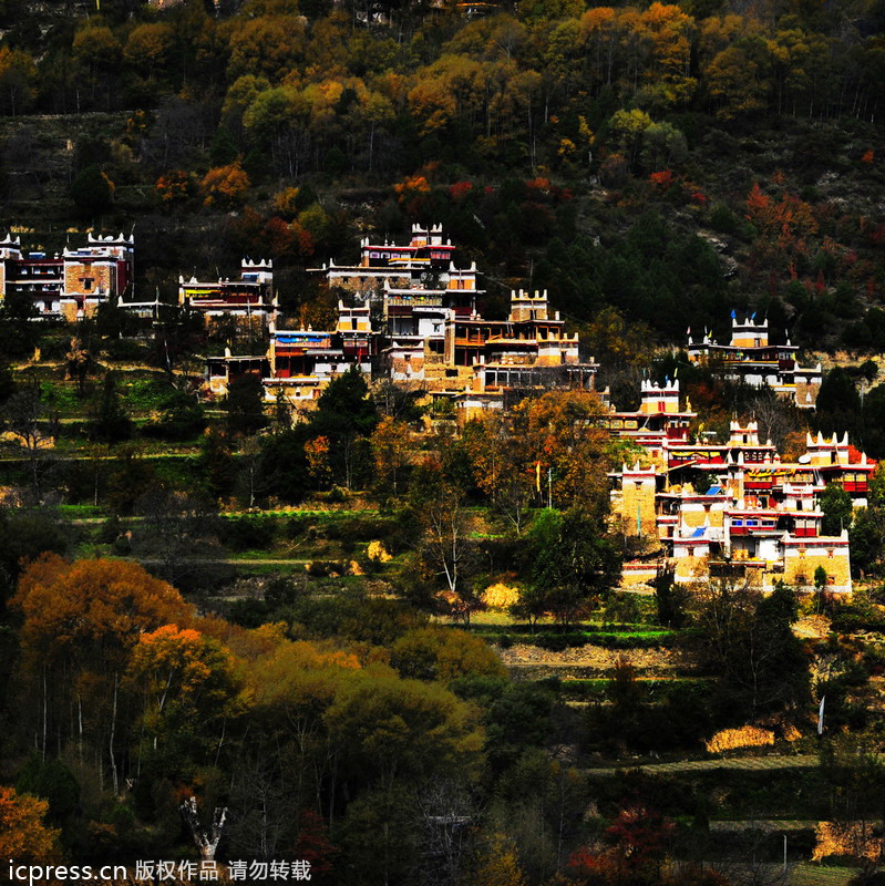 Autumn colors around China