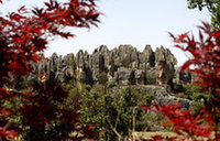 Lingyin Temple