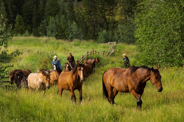 Finding peace at a dude ranch