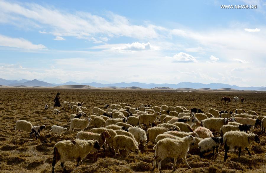 Scenery of headstream of Yarlung Zangbo River