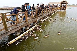 Reservoir water discharged to clear Yellow River sediment