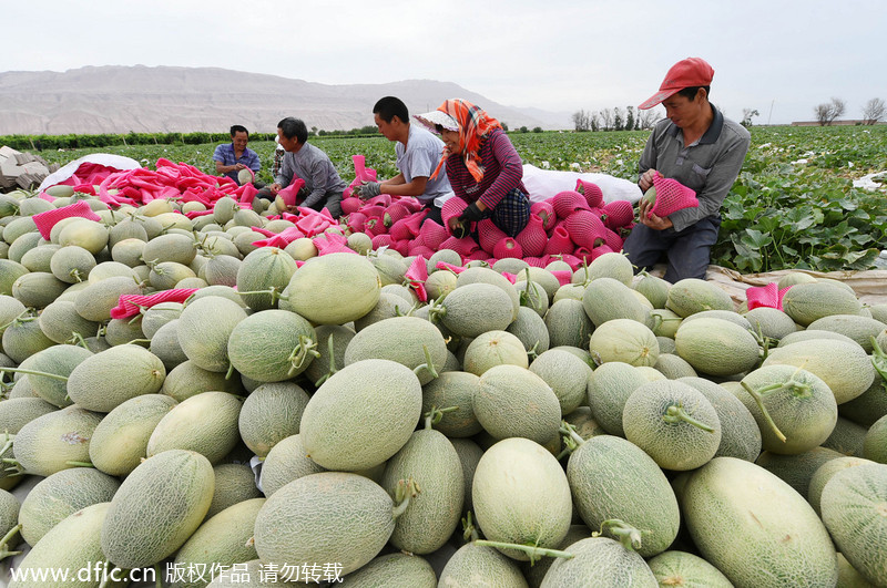 Beautiful blossoms and harvests of Xinjiang