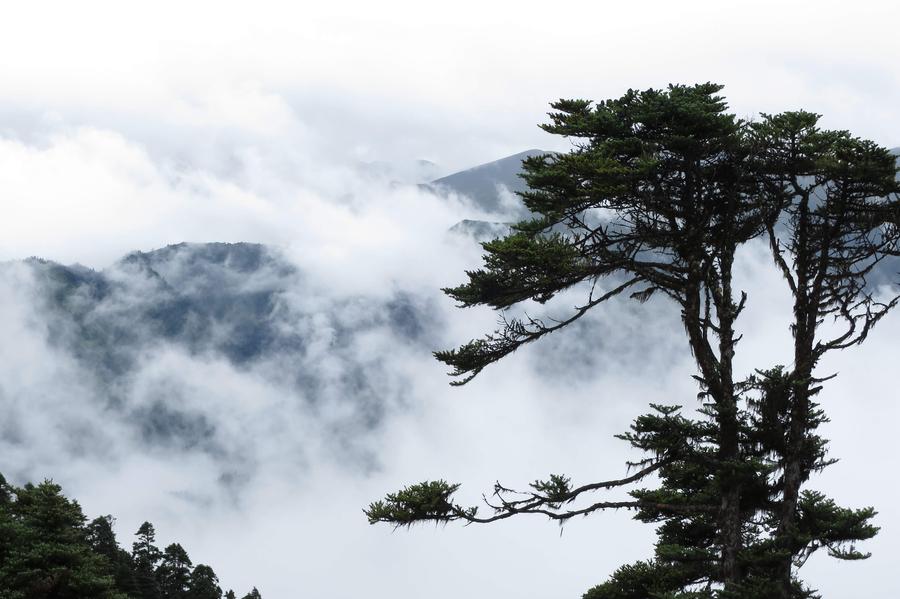 Scenic Nyingchi in Tibet