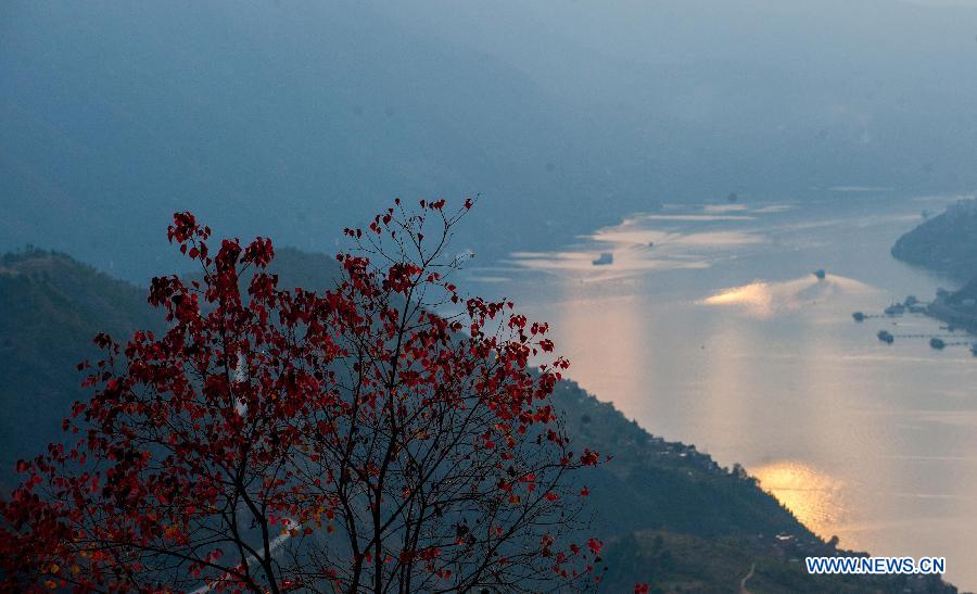 Wushan county covered by red leaves