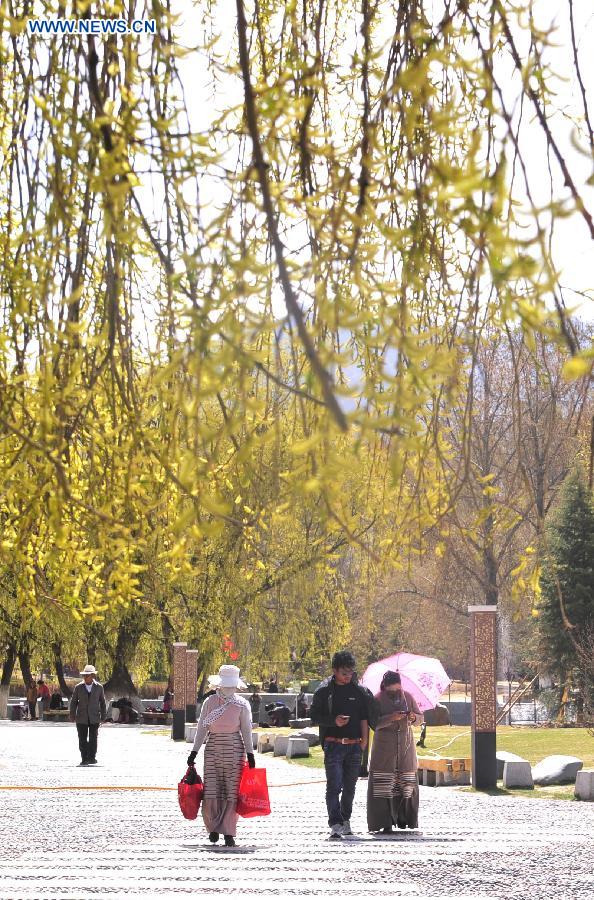 Spring scenery of the Potala Palace in Lhasa