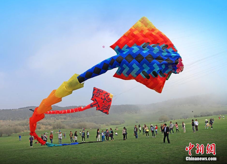 World's longest kite soars in Chongqing