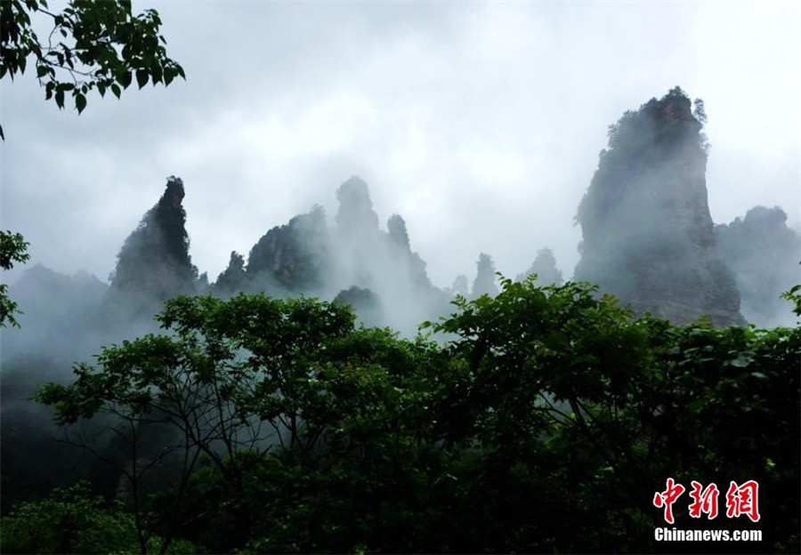 Eye-catching Wulingyuan Scenic Area shrouded by mist