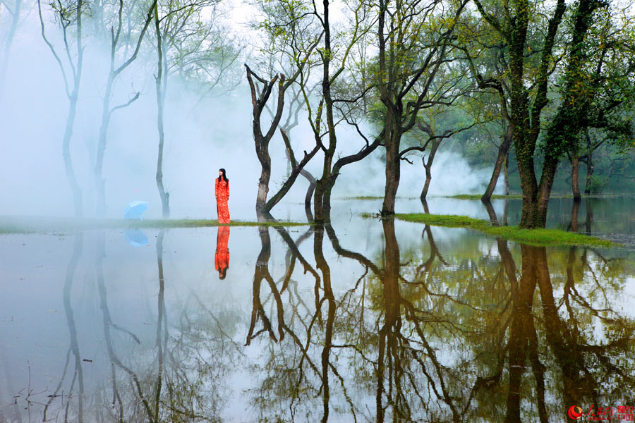 Picturesque Mazhou Forest in Jiangxi