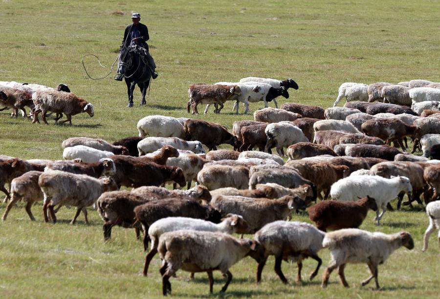 Picturesque Barkol grassland in Xinjiang