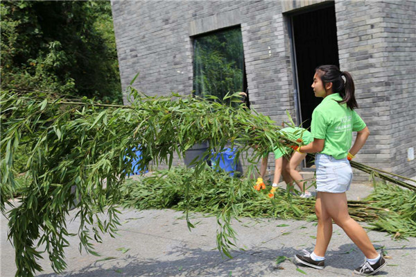 Student volunteer gets up close and personal with China's giant pandas