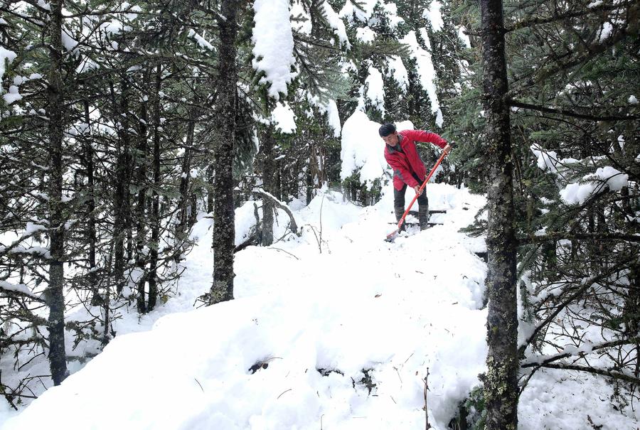 Snow scenery at Luoji Mountain in SW China