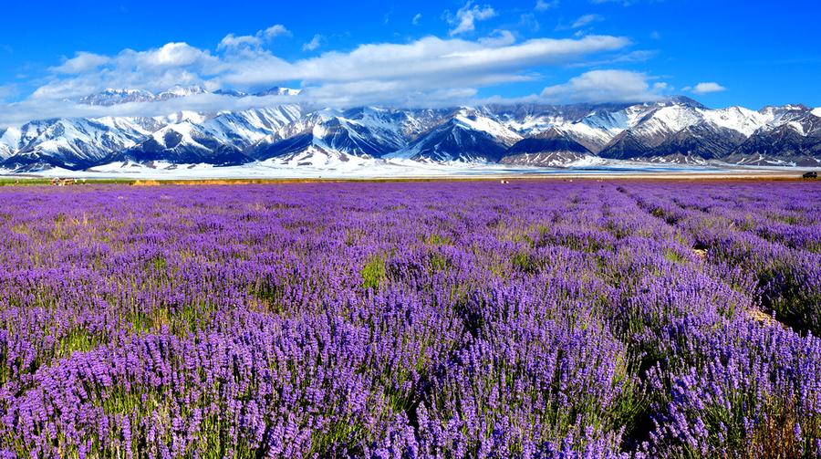 Breathtaking scenery of China's Xinjiang