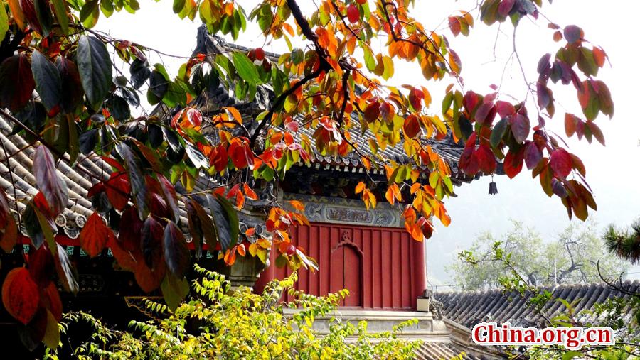 Colorful autumn scenery of Tanzhe Temple