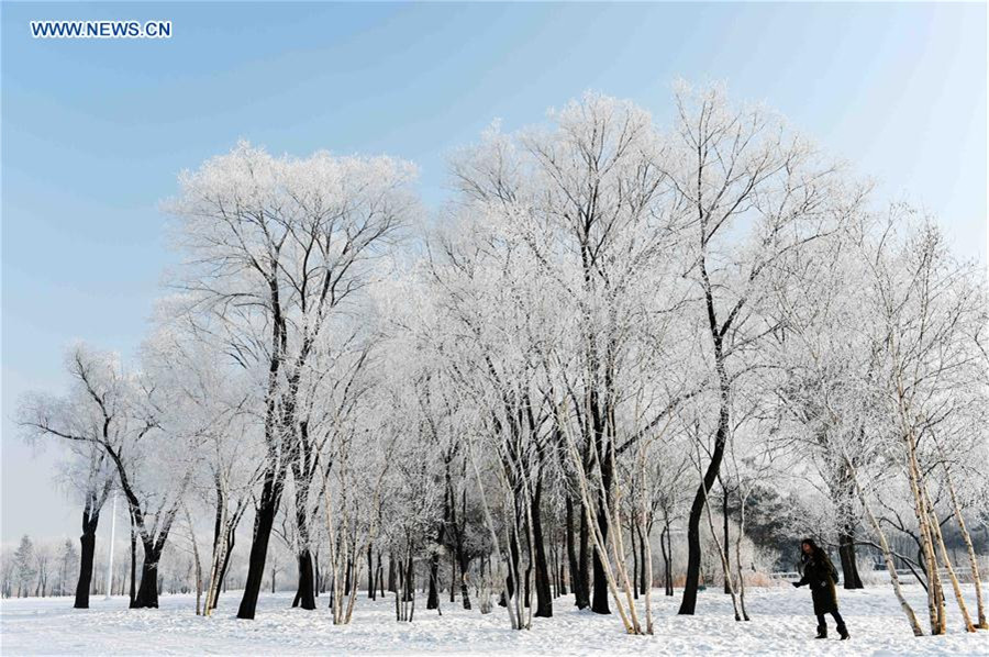 Rime scenery in NE China