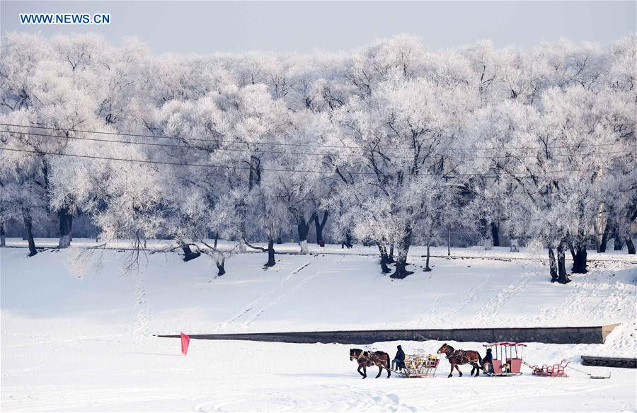 Rime scenery in NE China