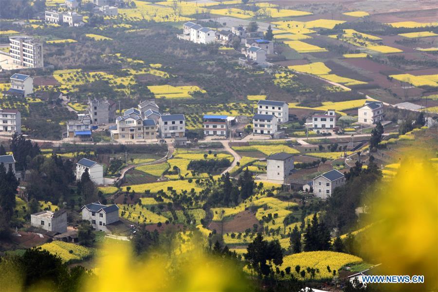 Spring scenery in C China