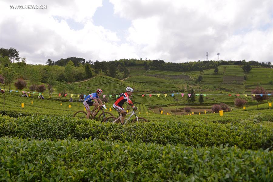 Tea cultural festival opens in SW China's Guizhou