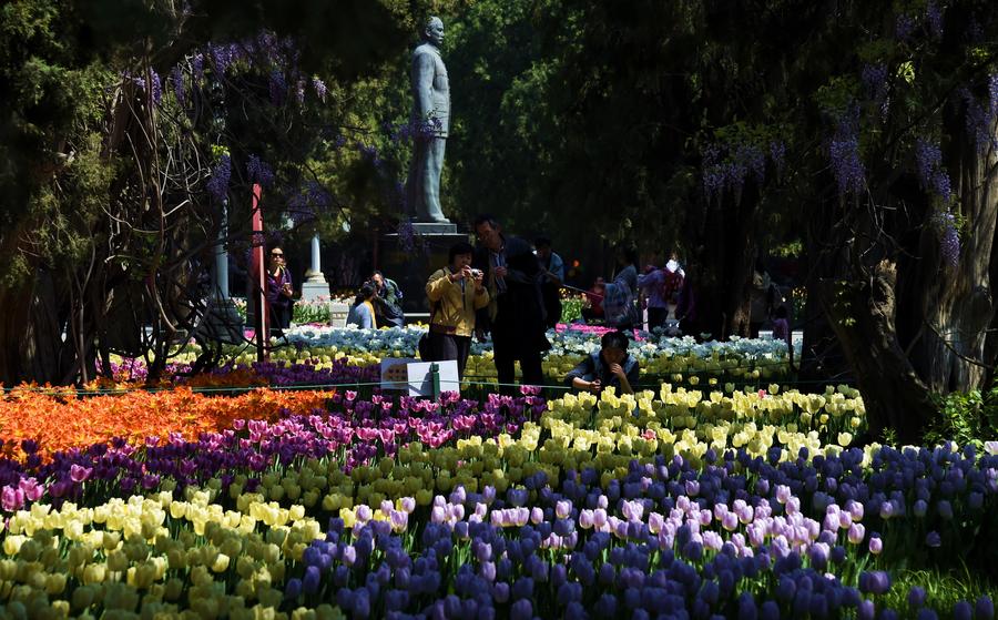 People enjoy sea of flowers in Beijing