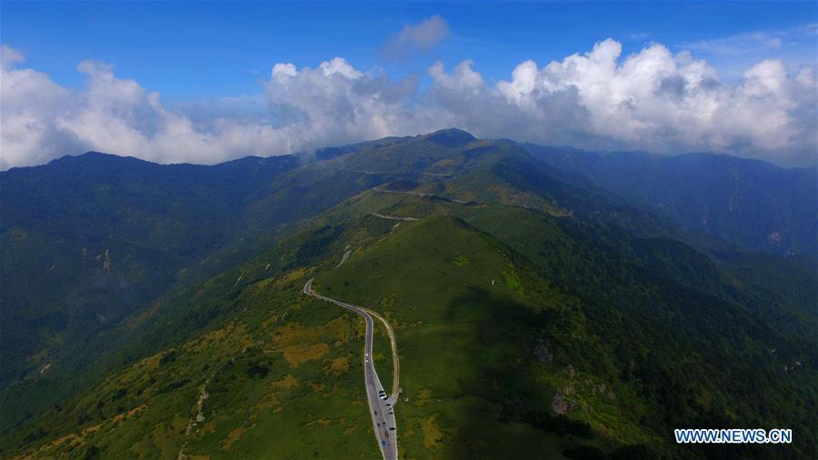 Shennongjia scenic spot in Hubei