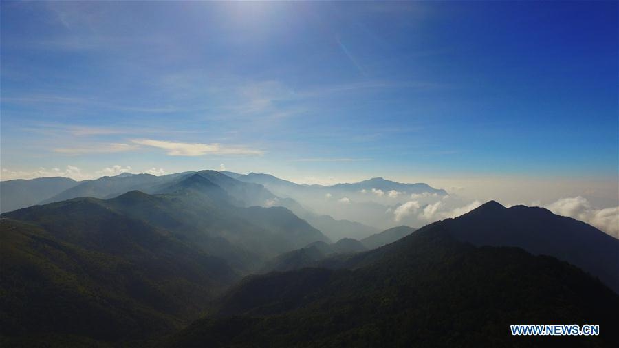 Shennongjia scenic spot in Hubei