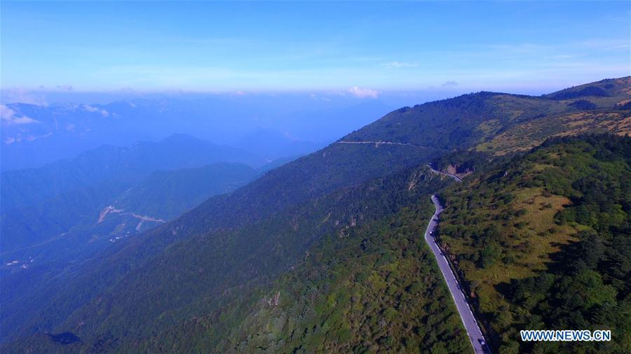 Shennongjia scenic spot in Hubei