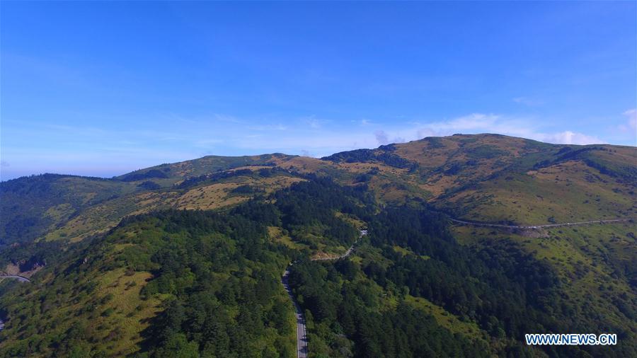 Shennongjia scenic spot in Hubei