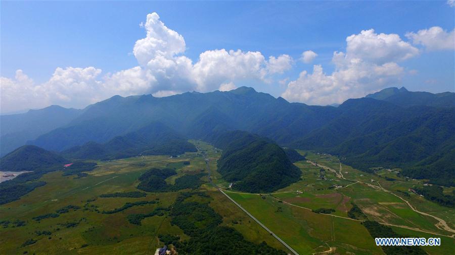 Shennongjia scenic spot in Hubei