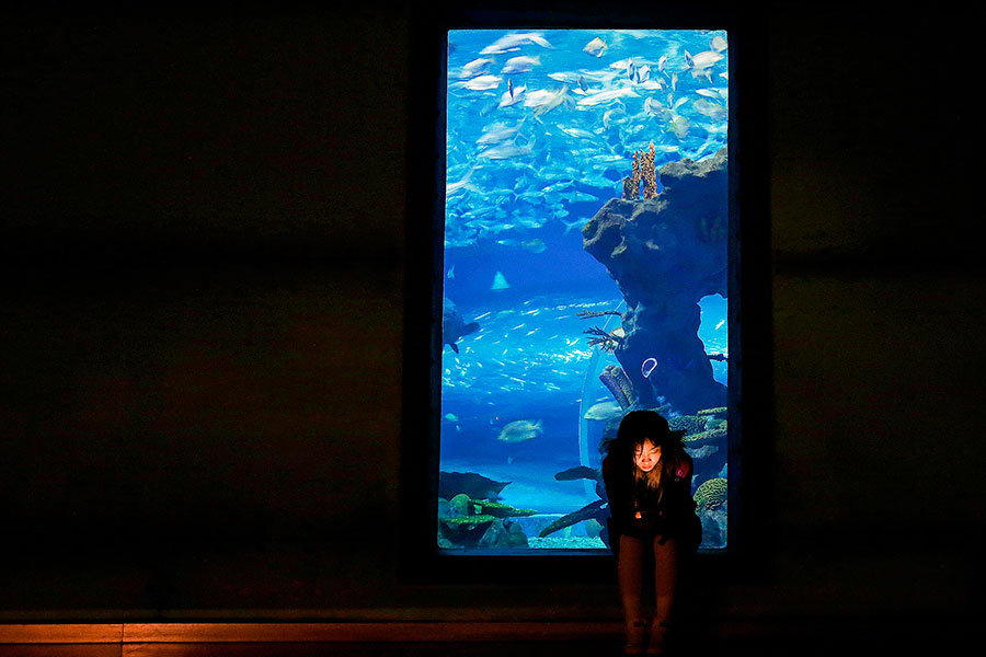 Little mermaid in an aquarium