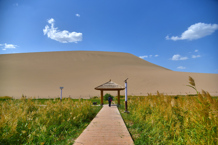 Crescent Lake: Green eye of the desert