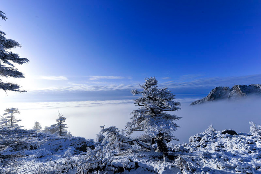 Serene scenery on snowy Luya Mountain