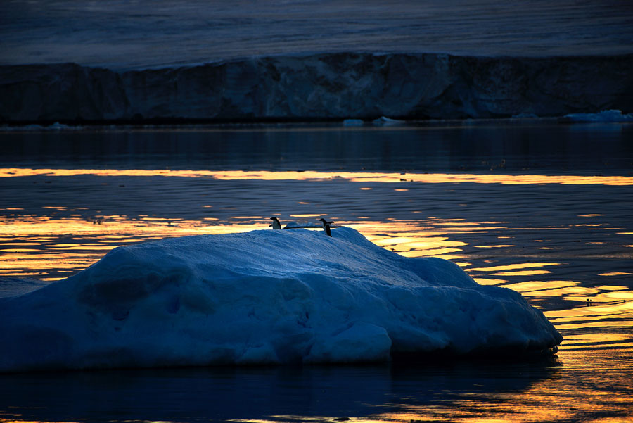 More than Antarctic - A fantastic journey