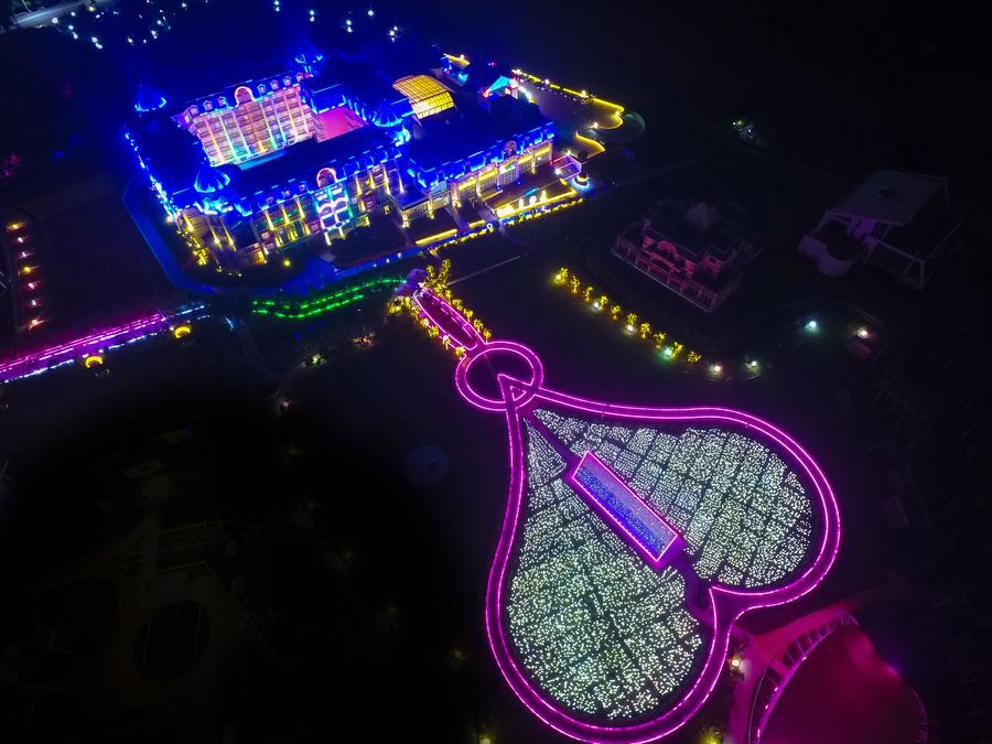 Rose lights illuminate sunflower park in Guangzhou