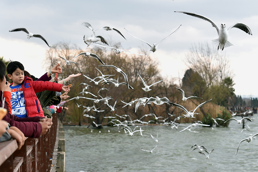 Top 10 Chinese tourism destinations for Spring Festival