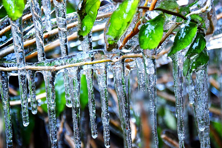 Icicles add to waterfall beauty