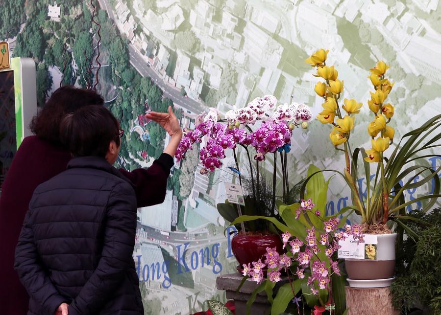 Orchid exhibition held in Hong Kong