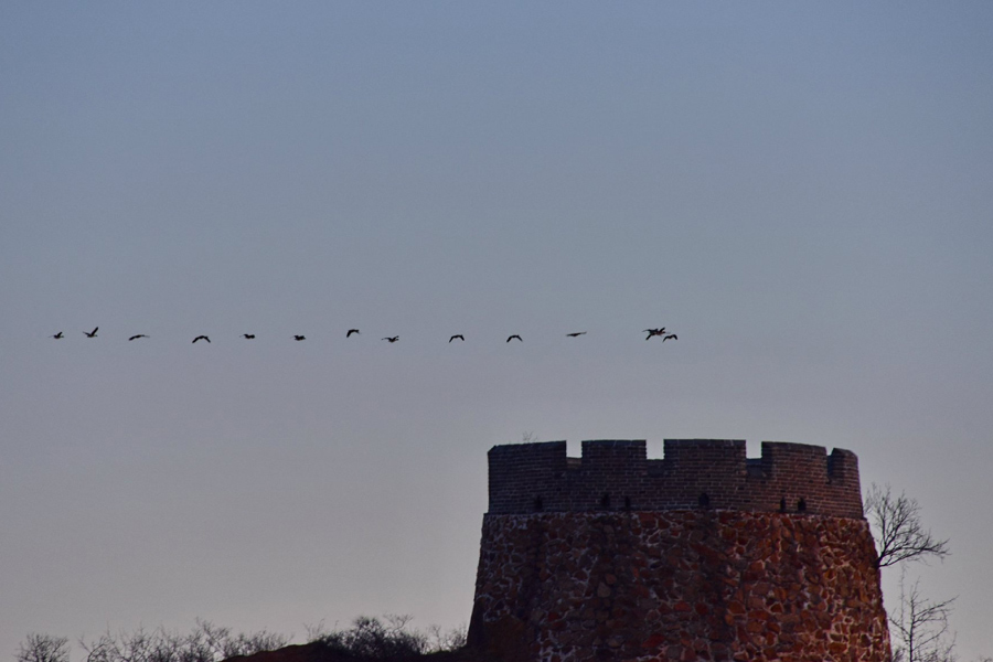 Jinshanling Great Wall named holy place for photographers