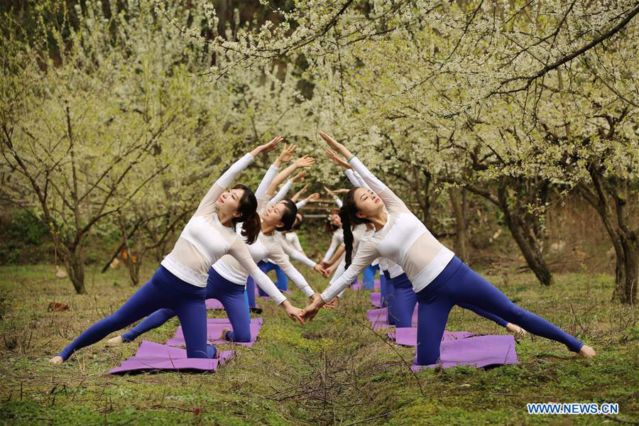 Yoga fans practise yoga on farmland of flowers in Zhangjiajie