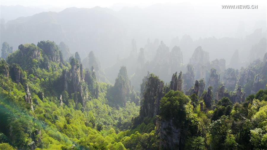 Scenery of Zhangjiajie national forest park in C China