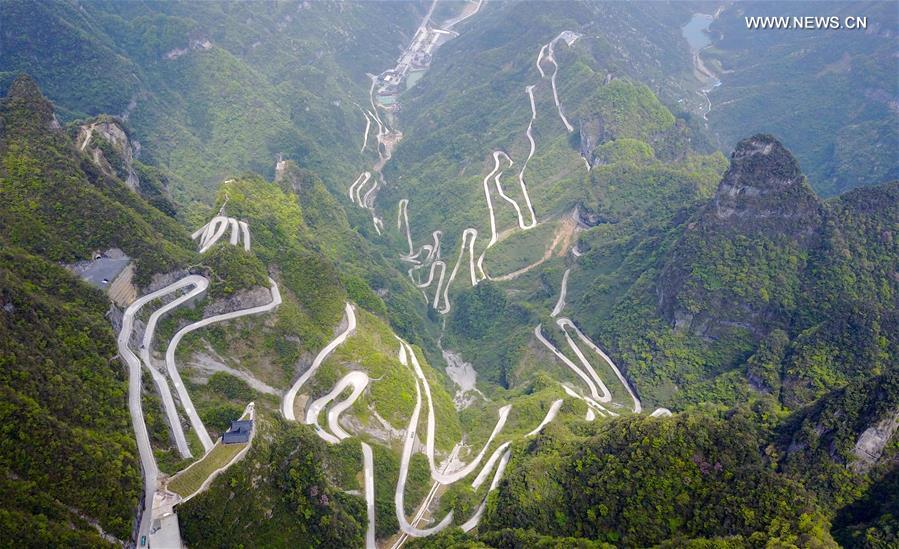 Scenery of Zhangjiajie national forest park in C China