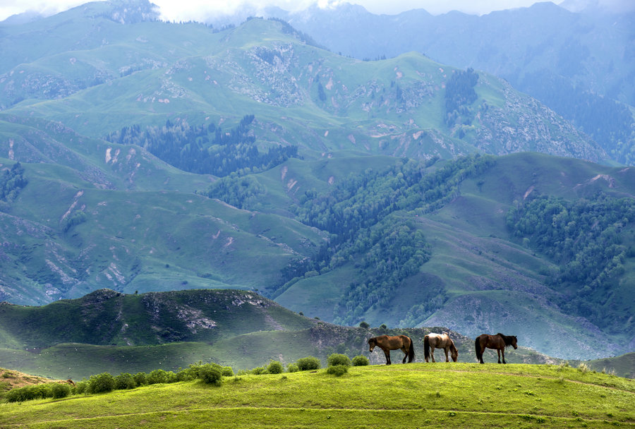 The natural beauty of Xinjiang amazes people