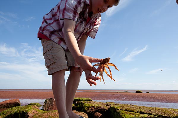 Canada's Prince Edward Island eyes more Chinese visitors